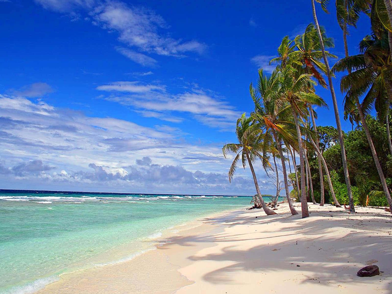 Tropical atoll beach in Kiribati